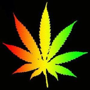 Meet your Posher, Sergio